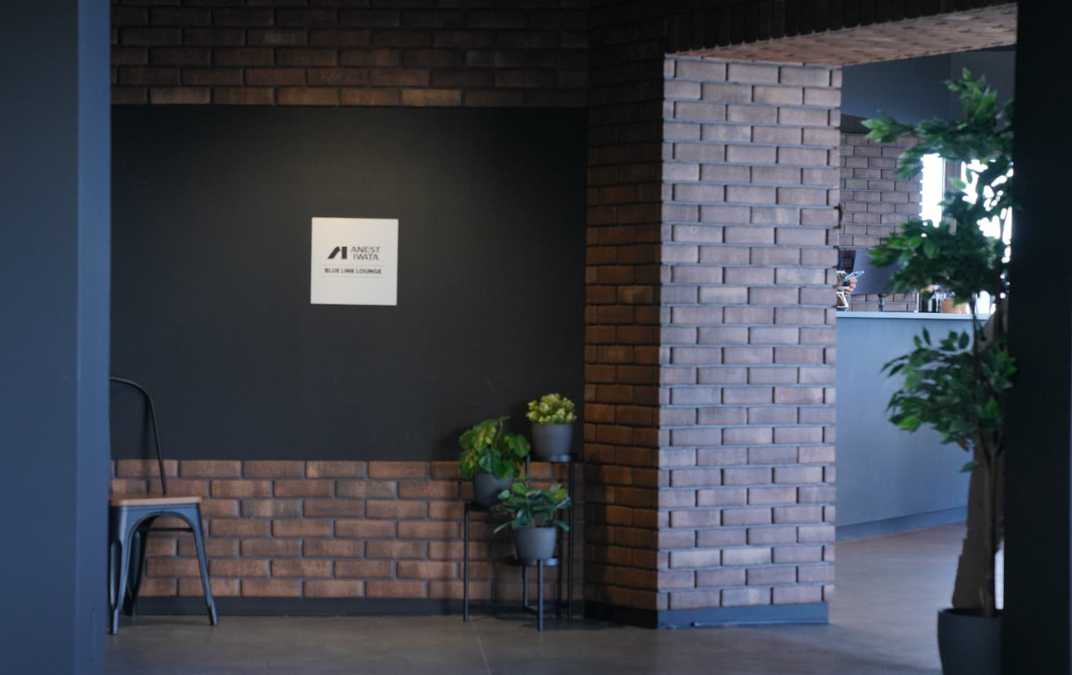 アネスト岩田株式会社 | 今年のお花見は箱根で決まり。3月31日（日）に